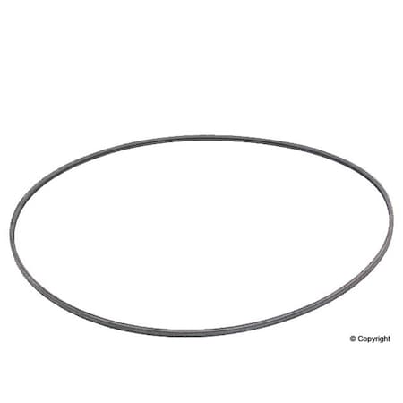 Continental POLY-V BELT 2PJ800